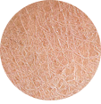 Dry Skin