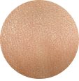Normal Skin